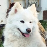 RITCHI